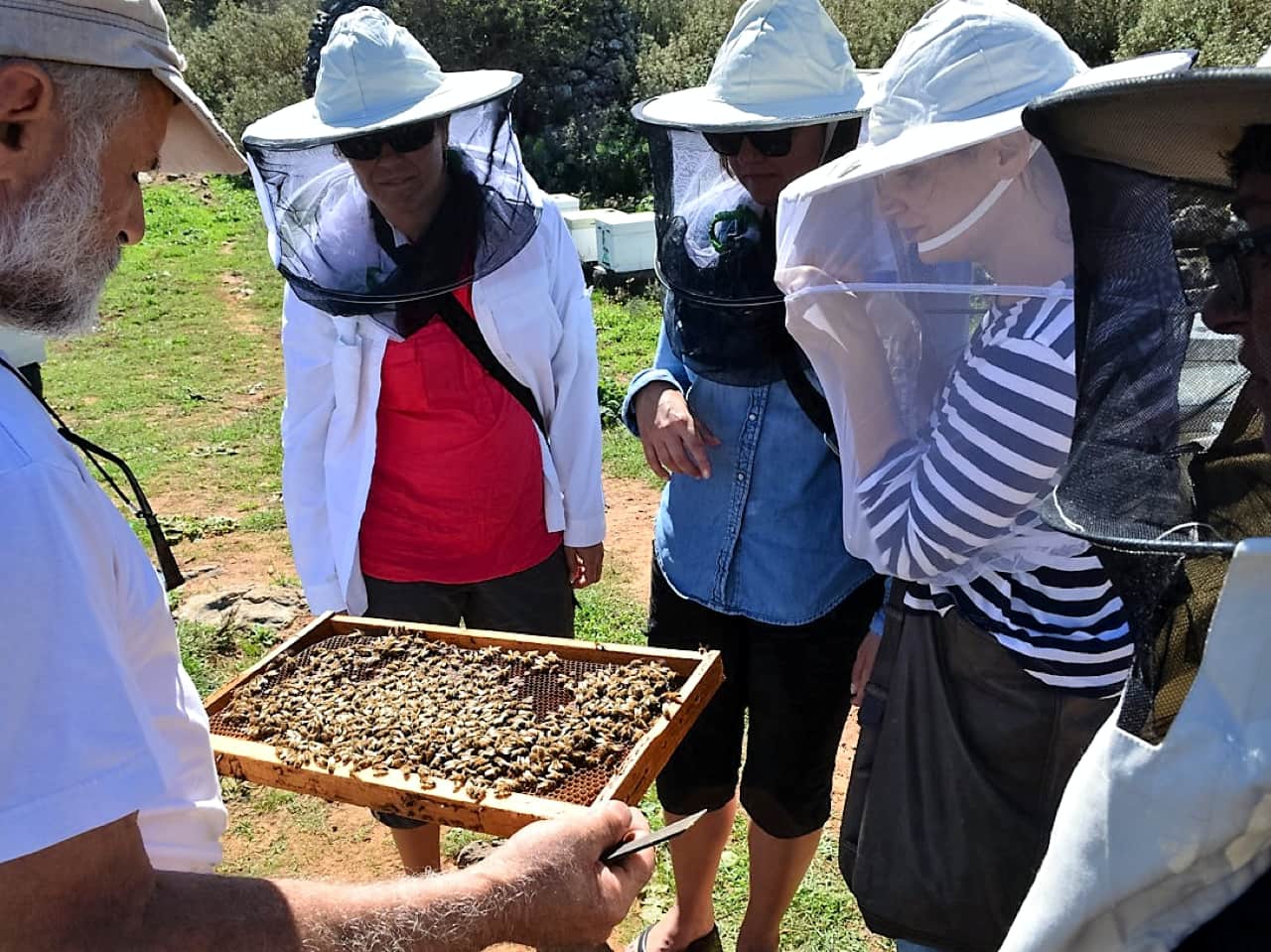 Photo Of The Day : Cretan Honey & Olive Oil Flagships Of Cretan Agro Products